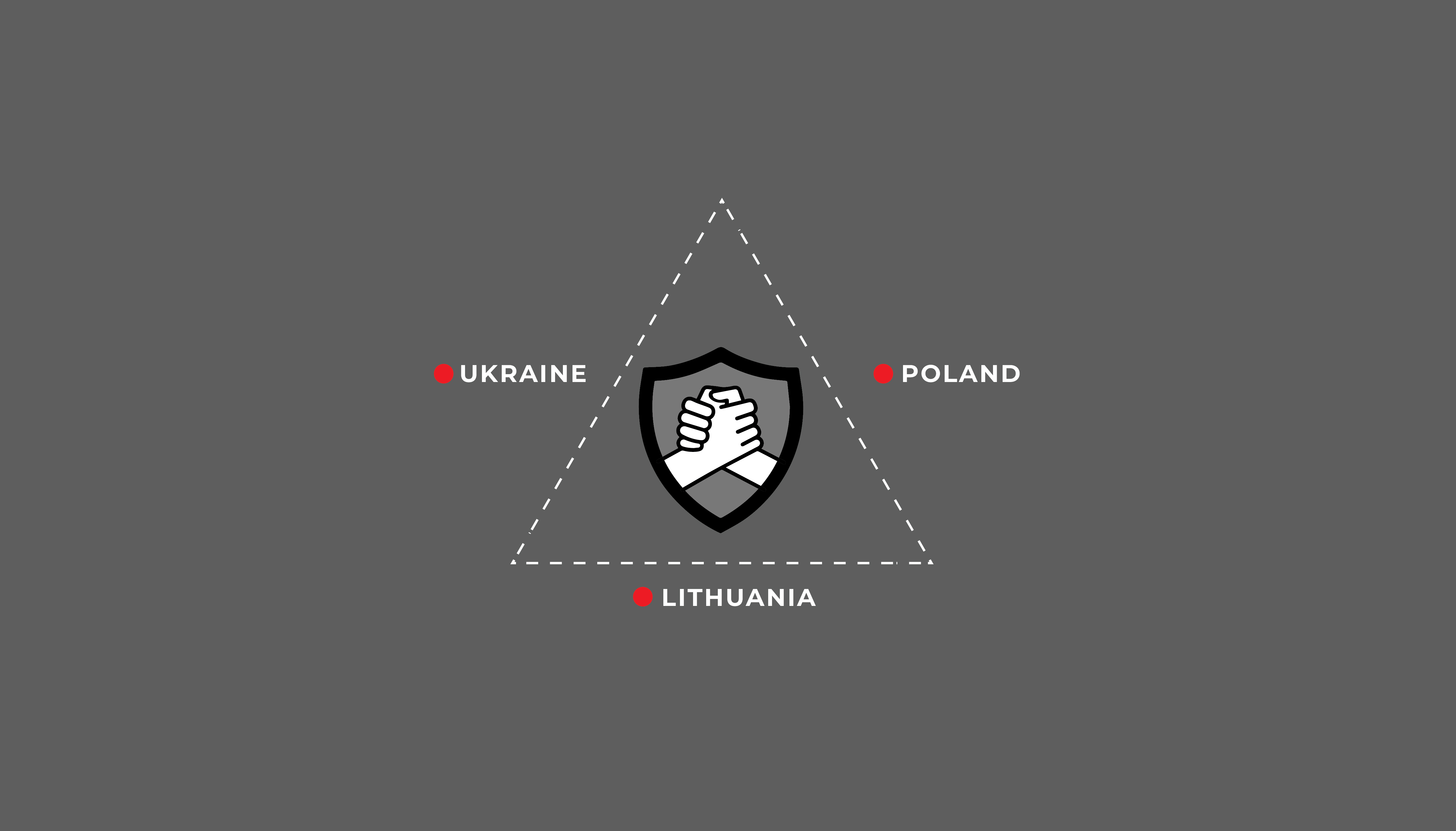 Image: Lublin Triangle: A comprehensive report on the spread of Russian disinformation in the countries of the Lublin Triangle